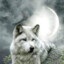 Silverwolf