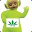 CannaBear