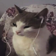 jani