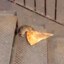 Pizza Rat