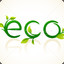 2eco2