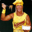 HULKAMANIA IS RUNNIN WILD