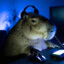 capivara gamer