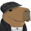 RDT | CAPIVARA