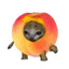 N FRUIT CUP