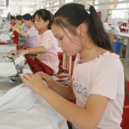 Temu Sweatshop Worker