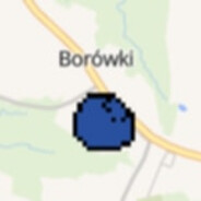 borówka
