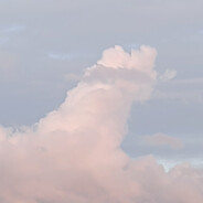 日天の狂龍！紅溫基霸