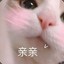 QcQ