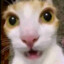 Danny,boyッ