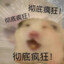 洛不绝