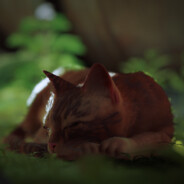 我逗是你哩惊叹号