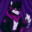 KurumaTheHusky