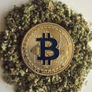 CANNABTC