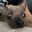 Skippy0240