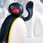 Pingu