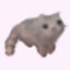 katchow