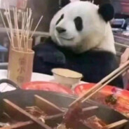 我的电脑是单核2G 的、