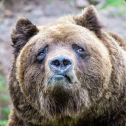Влад avatar