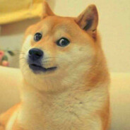 人海中的一条{狗}