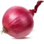 Onion