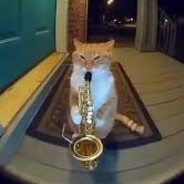 Saxy Speesh