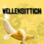 Flieg Kleinen Wellensittich