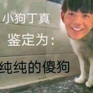 爱骑小马的丁真