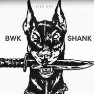 SH4NK Steam avatar