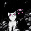 Nyaw  ♥