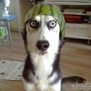 发牌员远房亲戚