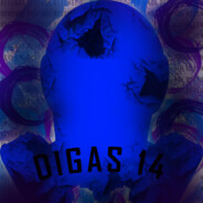 DiGas 14