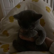 她与残局皆遗憾