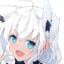 Arctic Fox
