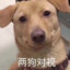 青涩后妈