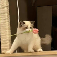 扶我一把是队友，扶我几把是男同