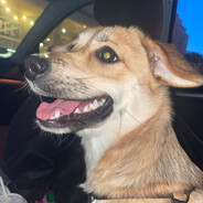 rarara - steam id 76561199028950729