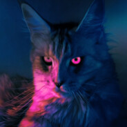 你很急吗？那你先别急