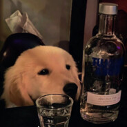 我本无意穿堂风