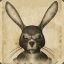 ☠Evil rabbit☣