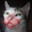 Mattaus avatar