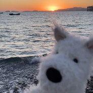 韩系美女八嘎酱