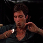 ! 𝓢𝓔𝓩𝓔𝓡