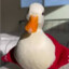 Harmless ducky