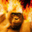 FIRE-MUNKE