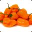 Habanero Surprise