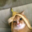 КОТИК С БАНАНОМ