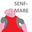 [#SSDT] SENF-MARE