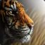 ^8\\\&lt;TIGER&gt;///
