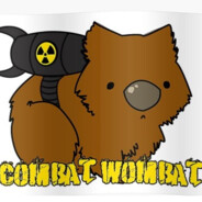 Combat Wombat - steam id 76561197962375633